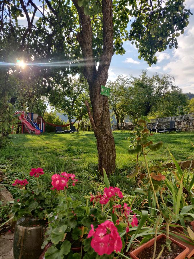 Villa Старата Къща - Трявна Extérieur photo